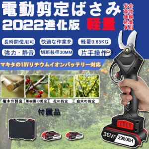 電動剪定ばさみ 電気剪定ばさみ 園芸用はさみ 電動ハサミ 充電式 コードレス 充電式 30mmの切断直径 5~7H作業時間 園芸用剪定用具