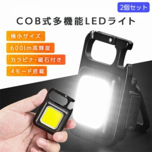 【2個セット】 COB LED ライト 投光器 led 屋外 防水 充電式 ミニライト　ハンディライト 懐中電灯 カラビナ 栓抜き 防水防滴 三脚適用 