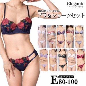 大きいサイズ 下着 レディース ブラジャー ショーツセット Eカップ E80 E85 E90 E95 E100 L LL 3L 4L 5L 肩紐取り外し可 モールドカップ 