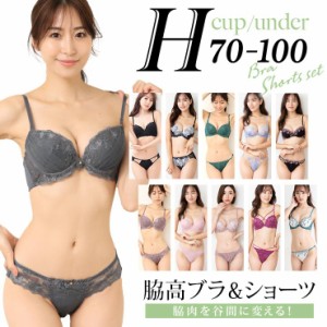 大きいサイズ レディース ブラジャー ショーツセット H70 H75 H80 H85 H90 H95 H100 M L LL 3L 4L 5L 脇高ブラ 下着 エレガント 新色入荷