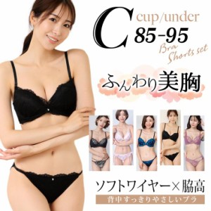 大きいサイズ レディース ブラジャー ショーツセット Cカップ C85 C90 C95 LL 3L 4L ソフトワイヤー 脇高 新色入荷 ネコポス不可