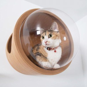 キャットウォーク 木製 壁掛け 猫ハウス 猫用 猫家具 ベッド キャットハウス 宇宙カプセル RACW-0002