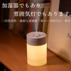 加湿器 スチーム式 ミニ加湿器 おしゃれ 静音 LEDライト 細微ミスト 自動停止 快適 オフィス 寝室 600ML 2023最新版