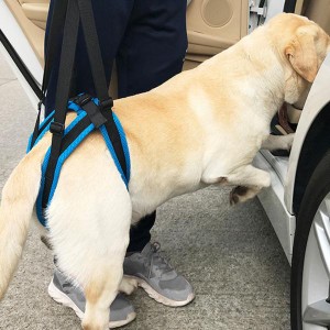 犬 ハーネス 歩行補助ハーネス 犬用ハーネス 介護用ハーネス 介護ハーネス 老犬 高齢犬 シニア犬 ケア 介護用品 介護用 犬用介護 ヘルニ