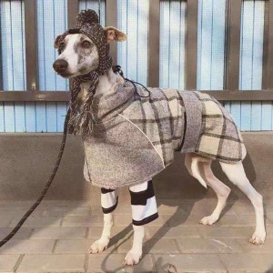 イタグレ 犬 服 秋冬 暖かい 防寒 チェック柄オーバーコート 中型犬 大型犬 イタリアングレーハウンド