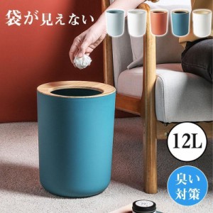 最安挑戦！ごみ箱 ゴミ箱 ダストボックス 12L くず入れ 袋が見えない 隠す くずかご リビング 寝室 洗面所 部屋 キチン 臭い対策 移動便