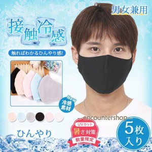 洗える メッシュマスク 5枚 大人用 接触冷感 ゴム調節可能 メンズ レディース 清涼 速乾 夏用マスク 冷感マスク 3D 立体型 涼しい UVカッ
