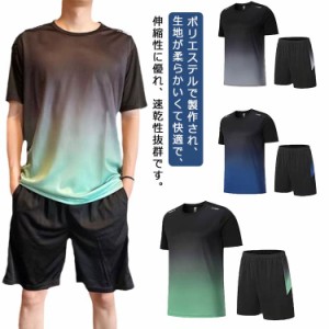 上下セット ジャージ ジャージ メンズ ショートパンツ スポーツウェア 薄手 吸汗 半袖tシャツ トレーニングウェア 無地 通気 部屋着