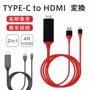 HDMI ケーブル 2in1 type-c テレビ接続 スマホ 変換アダプター タイプC avアダプタ ゲーム 変換ケーブル 充電機能 ビデオ再生