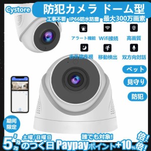 【送料無料】防犯カメラ 家庭用 屋外 ドーム型 最大500万画素 ワイヤレス 遠隔監視 監視カメラ Wi-Fi ネットワーク ネット環境なし ルー