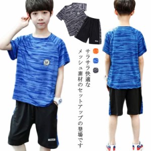 BIG  半パン 上下セット 子供服 Tシャツ ジュニア ビッグ 吸汗 半袖 速乾 無地 ハーフパンツ 接触冷感 セットアップ ジャージ カ