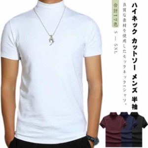 ハイネック カットソー メンズ 半袖 Tシャツ 無地tシャツ 夏 ハイネックtシャツ ティーシャツ 半袖 トップス 無地 ゴルフウェア カジュア