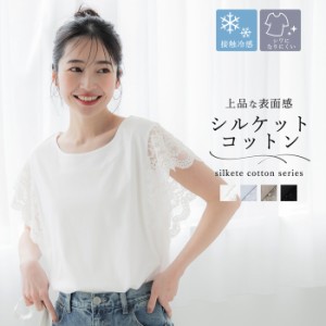 Tシャツ レディース カットソー シルケット ドッキング 接触冷感 異素材切替 レース 半袖 ミディアム丈 無地 きれいめ メール便可 24ss c