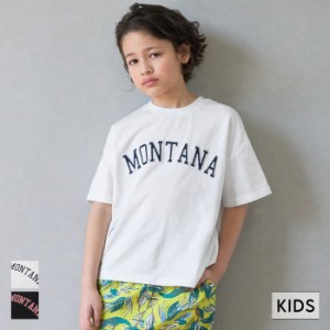 キッズ 110-140 Tシャツ ワッペン フロントロゴ カレッジ 英字 リブ 綿100 クルーネック 半袖 男の子 親子お揃い 子供服 メール便可 coca