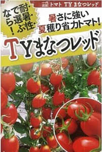 フタバ種苗 【一代交配】TYまなつレッド(トマト)種・小袋詰(10粒)