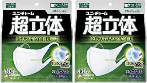 超立体マスク 風邪・花粉用 不織布マスク 日本製 大きめサイズ 30枚入 ノーズフィットつき 〔PM2.5対応 日本製〕