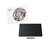 ワコム ペンタブレット Intuos Pro Large PTH-860/K0 [ブラック]