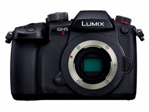 パナソニック デジタル一眼カメラ LUMIX DC-GH5M2 ボディ