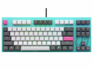 東プレ キーボード REALFORCE × 初音ミク GX1 X1UDM1 [Blue-Green]