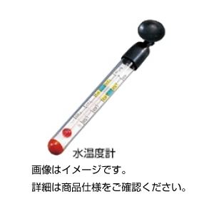 （まとめ）水温度計【×20セット】