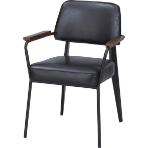 単品 アームチェア (イス 椅子) ブラック 黒 単品 単品 アームチェア ブラック 黒 ブラック 黒 送料無料