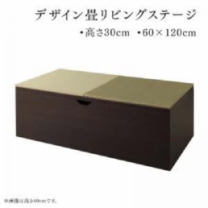 リビング収納用畳ボックス収納単品 日本製 収納付きデザイン畳リビングステージ( 収納幅 :120cm)( 収納高さ :30cm)( 収納奥行 :60cm)( 収