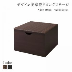 リビング収納用畳ボックス収納単品 国産　収納付きデザイン美草畳リビングステージ( 収納幅 :60cm)( 収納高さ :40cm)( 収納奥行 :60cm)( 