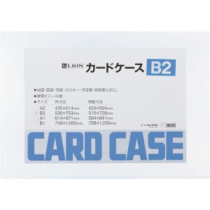 カードケース B2 内寸法530×753mm 大判アートを美しく収納 ワイドサイズカードケース B2 〜アートの宝庫を守る〜