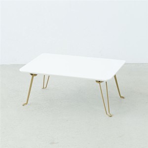 ニーナ 幅45折りたたみテーブル (ホワイト) 幅45cm 脚カラー：ゴールド 机 折り畳み ローテーブル 低い ロータイプ センターテーブル 折