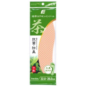 【20個セット】 不動化学 緑茶カテキンインソール 女性用 C1659 送料無料