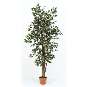 観葉植物 造花 フィカス B 6号鉢対応 幅80cm リビング ダイニング インテリア雑貨 備品 什器 送料無料