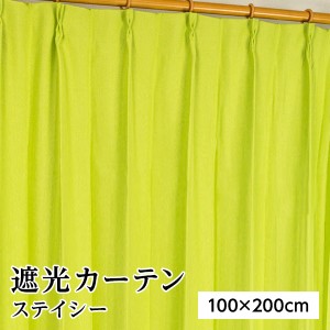 遮光カーテン サンシェード 2枚組 / 100cm×200cm グリーン / 無地 シンプル 洗える ウォッシャブル 形状記憶 『ステイシー』 九装 緑 送