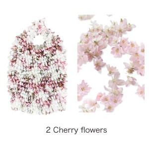 ＨＡＭ−１５絞りバッグ　Ｃｈｅｒｒｙ ｆｌｏｗｅｒｓ 自由に変幻する、持ち運び不要のエコバッグ 驚くほど簡単に絞れる 華やかなチェリ