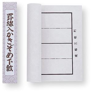 (まとめ) 罫線入下敷 規格三枚判 【×5セット】 学びの創造力を広げる 学校用セット アートの魅力を引き出す 多機能下敷き 美術教材 創造