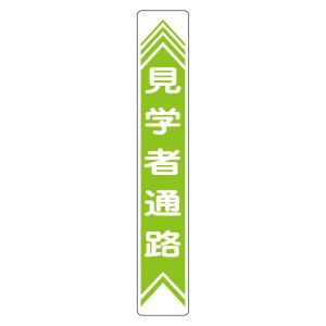 路面道路標識 見学者通路 路面-22 見学者のための安全な道路標識 歩行者専用通路 路面-22【代引不可】 送料無料