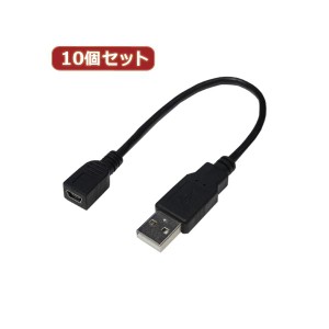 変換名人 10個セット USBケーブル 配線 20 A（オス） to mini（メス） USBAA／M5B20X10 USB接続の変換の達人 便利な10個セット USBケーブ