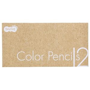 （まとめ） TANOSEE 色鉛筆 12色（各色1本） 1セット 【×10セット】 カラフルなクリエイティブツール 12色の魅惑のペンシルセット 色彩