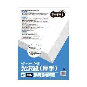 （まとめ）TANOSEE カラーレーザープリンタ用光沢紙(厚手) A3 1冊(100枚) 【×2セット】 鮮やかな光沢で溢れる、写真やカタログに最適! T