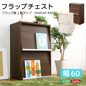 リビング整理 収納 /整理 収納 家具 【フラップ扉 2枚タイプ ウォールナット】 2段 幅約59cm 抗菌 清潔 防臭機能 送料無料