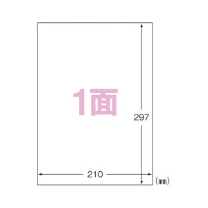 （まとめ） エーワン IJ超耐水ラベルシール 光沢紙 A4 1面 ノーカット 10枚入 【×5セット】 水に濡れても、にじまず、はがれず、破れな