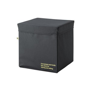 整理 収納 ボックス 整理 収納 ケース 幅42cm Lサイズ ブラック 多用途 コンテナスツール イス バーチェア 椅子 カウンターチェア リビン