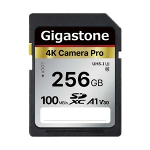 Gigastone SDXCカード 256GB V30 UHS-1 U3 A1 GJSX-256GV3A1 1枚 送料無料