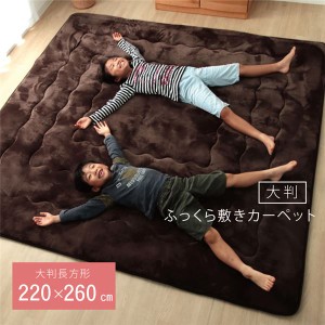 大判 こたつ敷布団/ラグマット じゅうたん カーペット 敷き物 【ブラウン 約220×260cm】 長方形 洗える ウォッシャブル 弾力性 クッショ