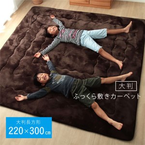 大判 こたつ敷布団/ラグマット じゅうたん カーペット 敷き物 【大 ブラウン 約220×300cm】 長方形 洗える ウォッシャブル 弾力性 クッ