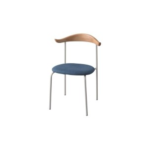 パーソナルチェア (イス 椅子) リビングチェア リビング用 応接チェア イス 椅子 幅56cm 2脚セット 木製 金属 スチール リビング ダイニ
