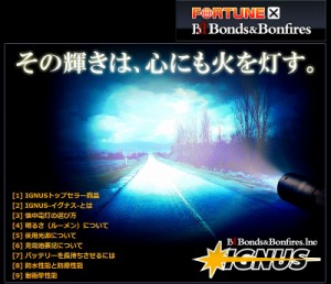 国防省認定 世界最強の懐中電灯 Au Pay マーケット Auコマース ライフ株式会社運営