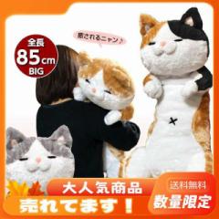 まいぜんシスターズ でっかいぬいぐるみ 元気にハイタッチ 全2種
