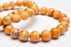 �n�j�[�J���[ �o���u���r�[�W���X�p�[(�}���n�i�o�`�W���X�p�[)�@9mm�@�u���X���b�g 1���� _BG5430-9