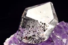 �y�P�_���z�󏭃J���[ �u���b�N���s�h�N���T�C�g�C���N�H�[�c�@30x21mm�@���΃��t�J�b�g ���� ���^�E�d���^_PC952