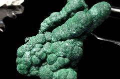 �y�P�_���z�����F���x���x�b�g �}���J�C�g(�E����)�@85x53x47mm�@���� ���^�E�d���^�E���_CG6380�y��}�ւ̂݁z